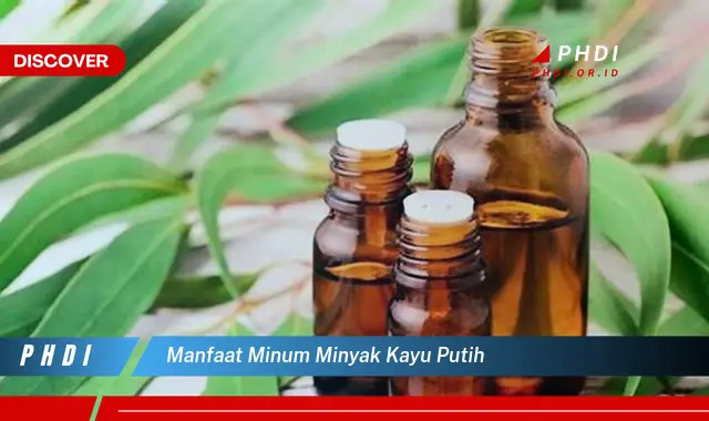 manfaat minum minyak kayu putih