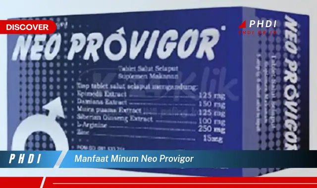 manfaat minum neo provigor