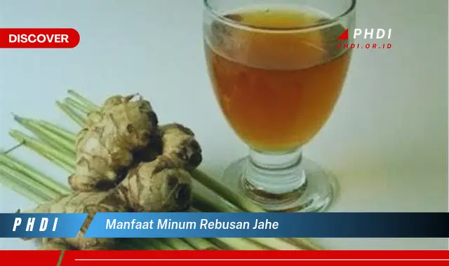 manfaat minum rebusan jahe