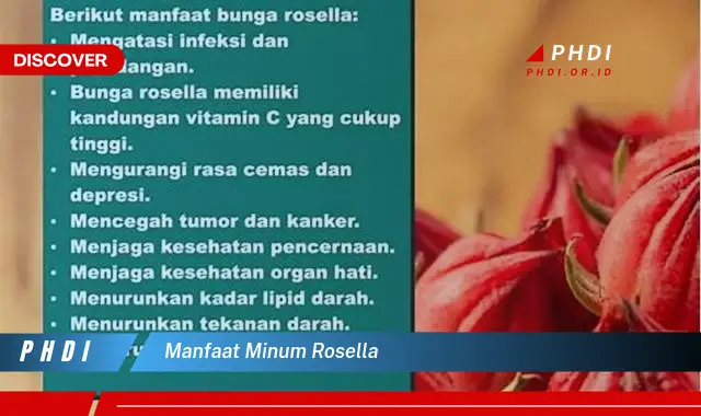 manfaat minum rosella