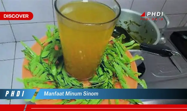 manfaat minum sinom