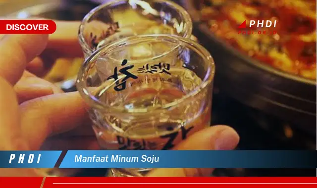 manfaat minum soju