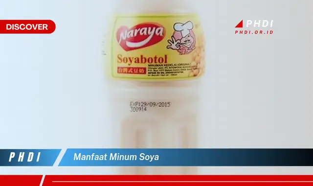 manfaat minum soya