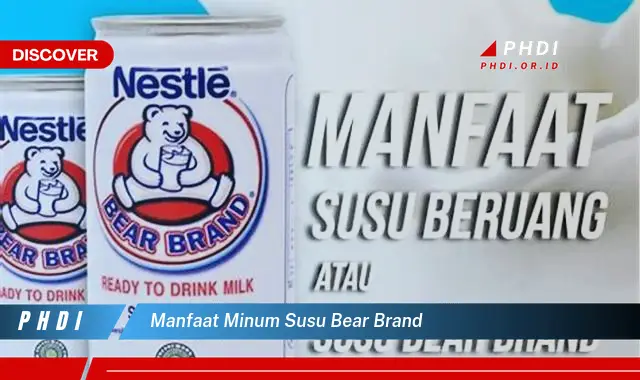 manfaat minum susu bear brand