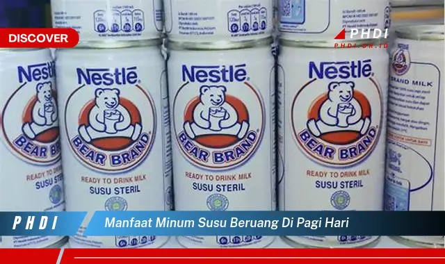 manfaat minum susu beruang di pagi hari