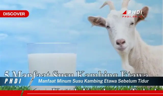 manfaat minum susu kambing etawa sebelum tidur