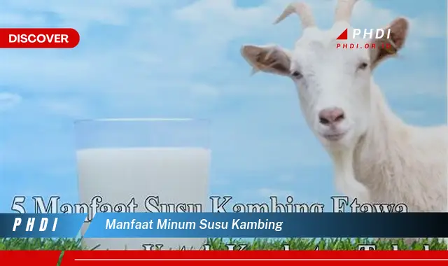 manfaat minum susu kambing