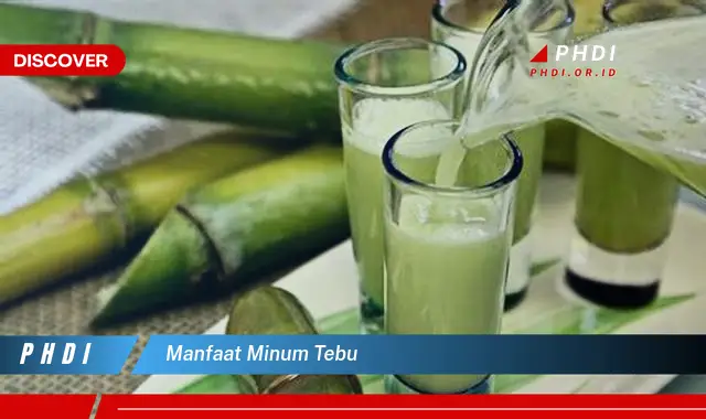 manfaat minum tebu