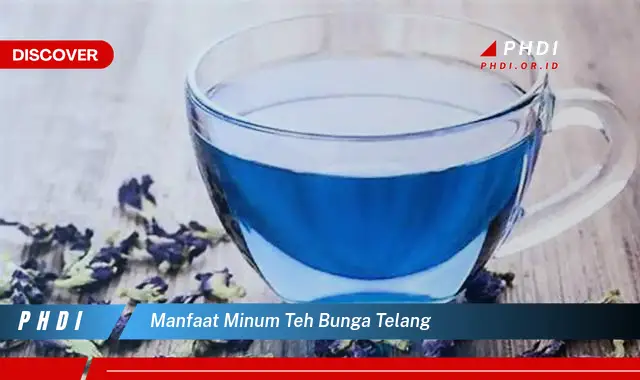 manfaat minum teh bunga telang