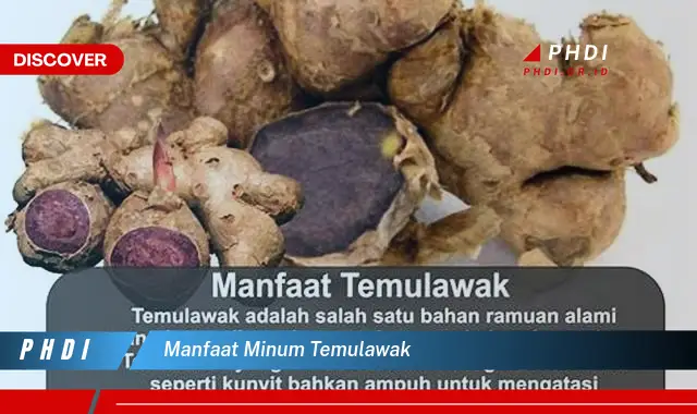 manfaat minum temulawak