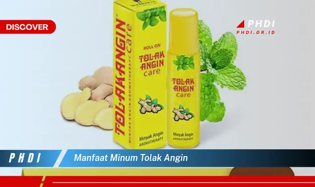 manfaat minum tolak angin