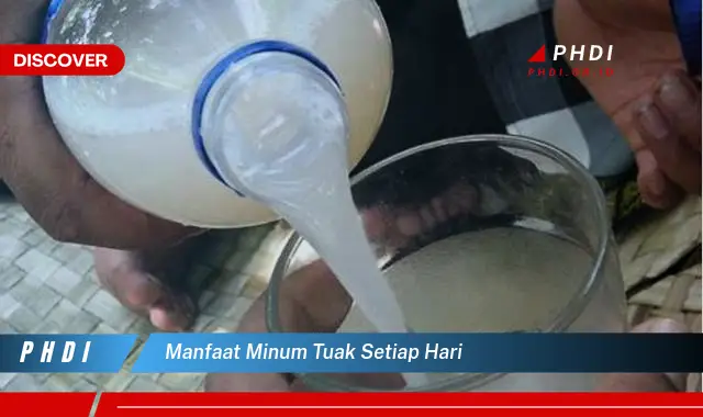 manfaat minum tuak setiap hari