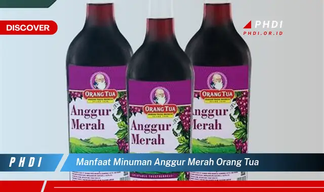 manfaat minuman anggur merah orang tua