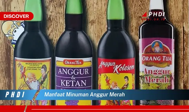 manfaat minuman anggur merah