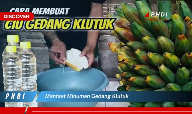 manfaat minuman gedang klutuk