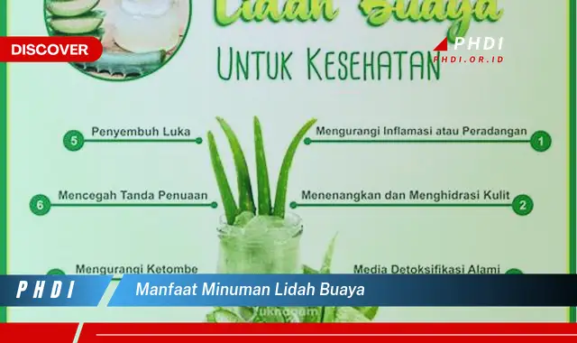 manfaat minuman lidah buaya