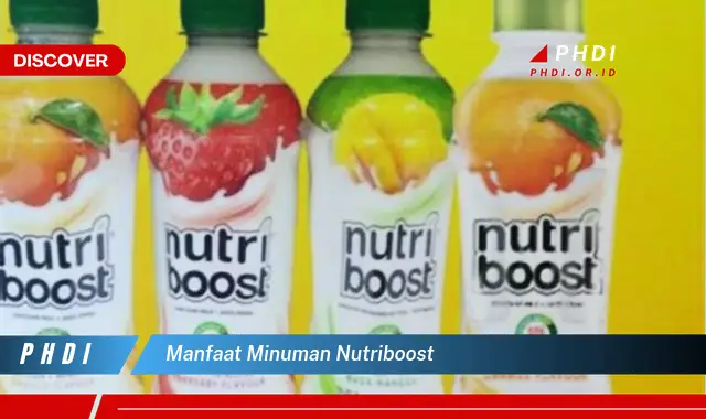 manfaat minuman nutriboost