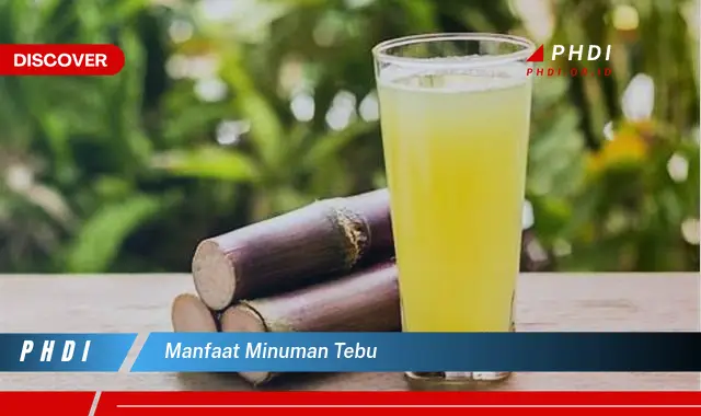 manfaat minuman tebu