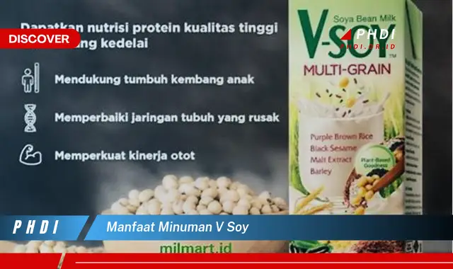 manfaat minuman v soy