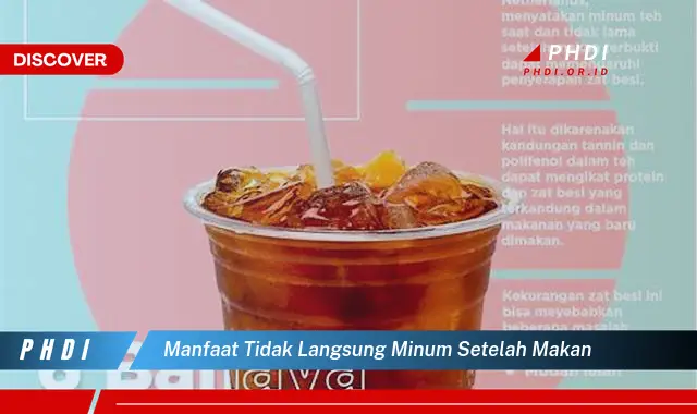 manfaat tidak langsung minum setelah makan