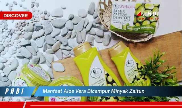 manfaat aloe vera dicampur minyak zaitun