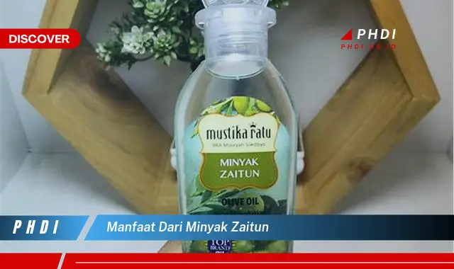 manfaat dari minyak zaitun