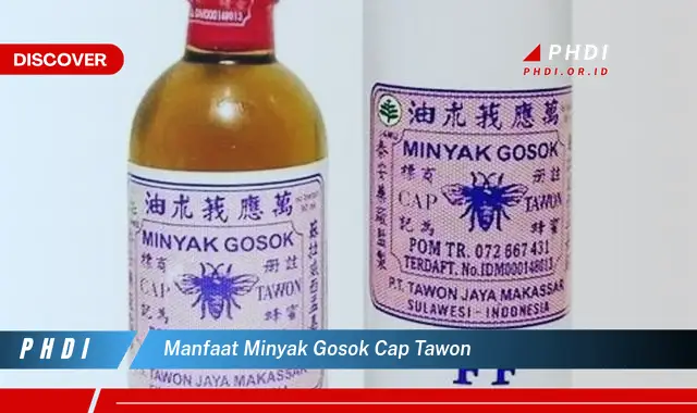 manfaat minyak gosok cap tawon