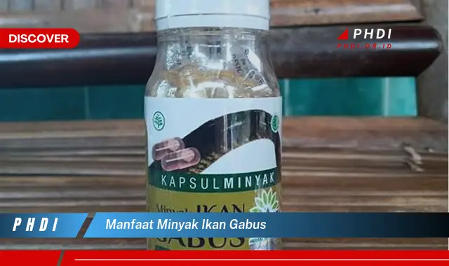 manfaat minyak ikan gabus