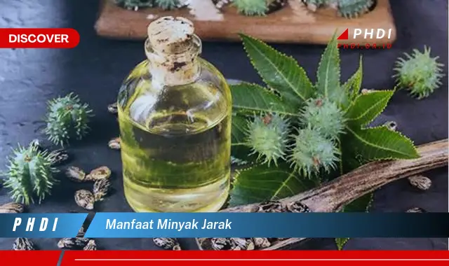 manfaat minyak jarak