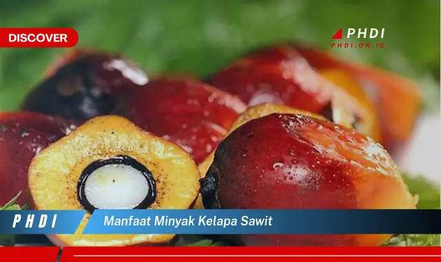 manfaat minyak kelapa sawit