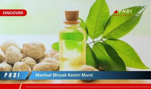 manfaat minyak kemiri murni