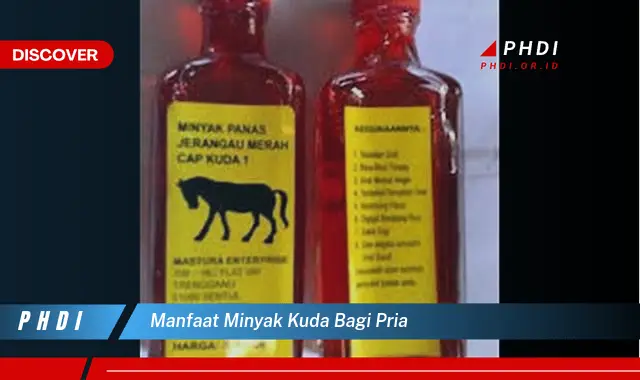 manfaat minyak kuda bagi pria