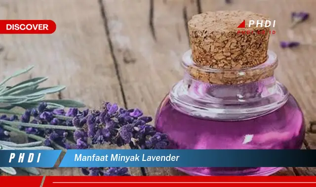 manfaat minyak lavender