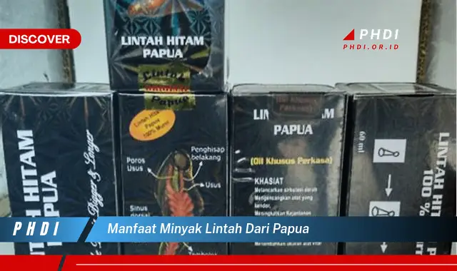 manfaat minyak lintah dari papua