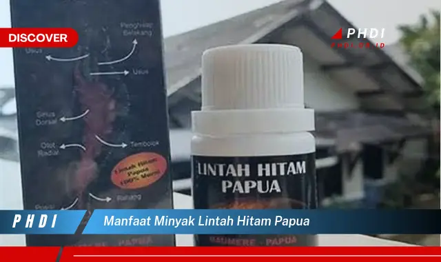 manfaat minyak lintah hitam papua