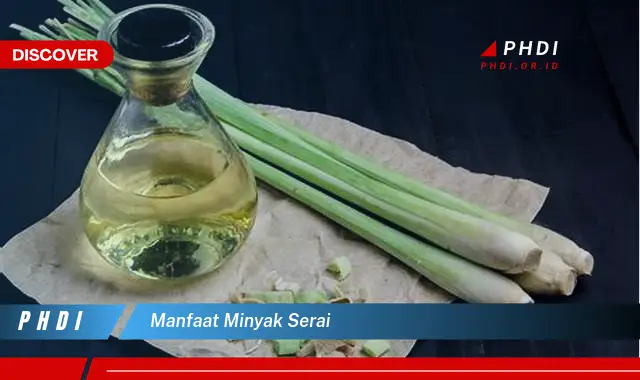 manfaat minyak serai