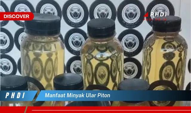 manfaat minyak ular piton