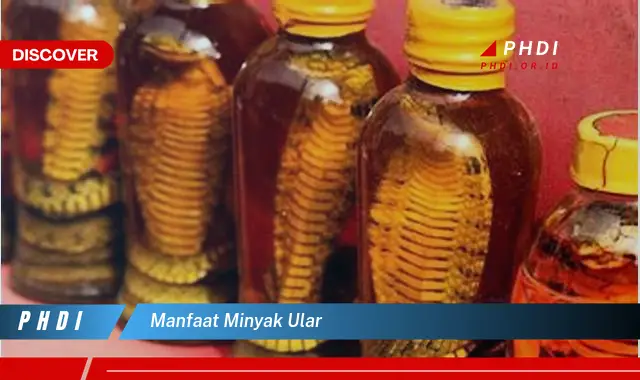 manfaat minyak ular