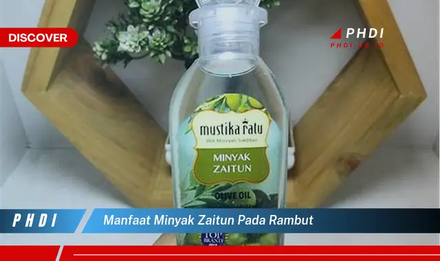 manfaat minyak zaitun pada rambut