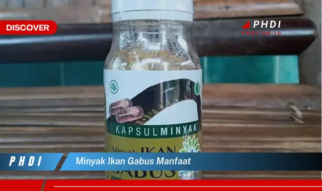 minyak ikan gabus manfaat