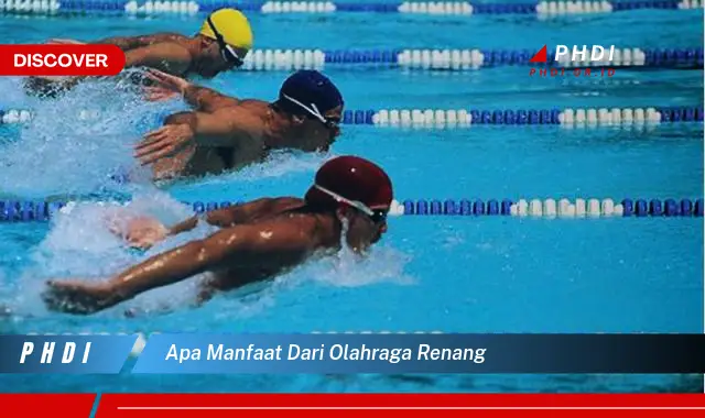 apa manfaat dari olahraga renang