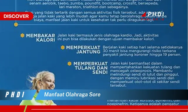 manfaat olahraga sore