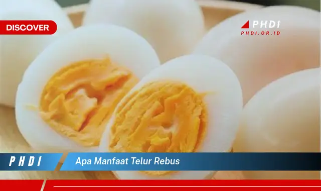 apa manfaat telur rebus