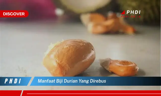 manfaat biji durian yang direbus