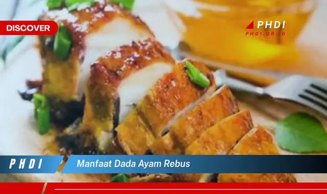 manfaat dada ayam rebus