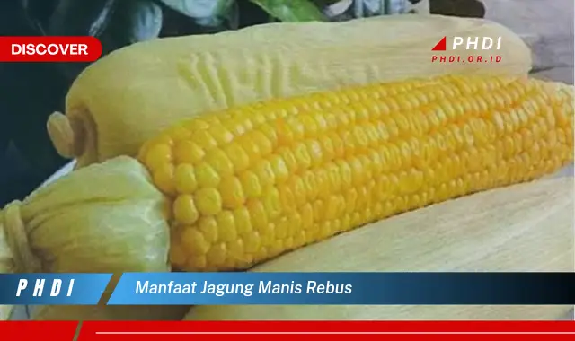 manfaat jagung manis rebus