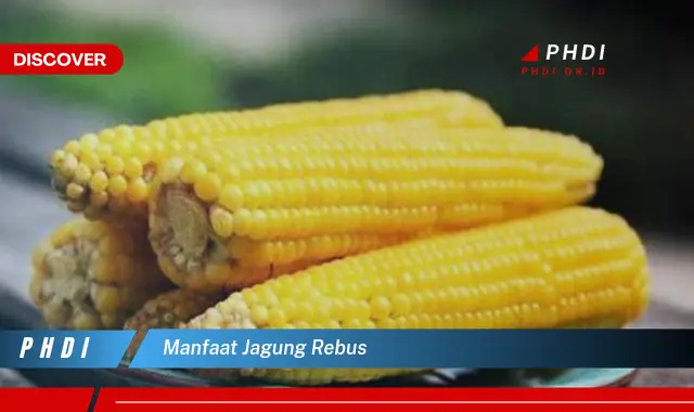 manfaat jagung rebus