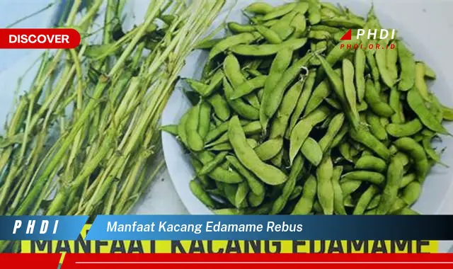 manfaat kacang edamame rebus