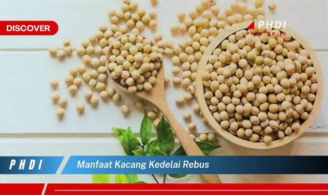 manfaat kacang kedelai rebus