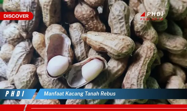 manfaat kacang tanah rebus